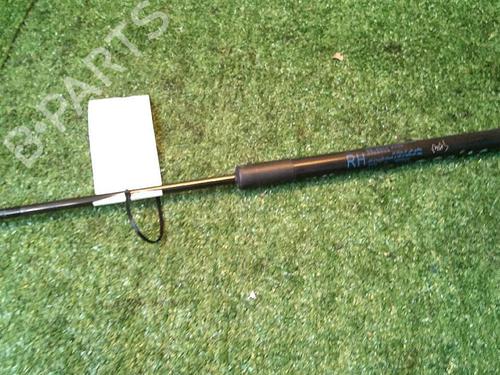 Tailgate lift support KIA VENGA (YN) 1.4 CVVT | BP30072725C138 