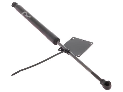 tailgate-lift-support-dacia-sandero-ii-2012-30152605 main image