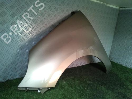 Left front fenders RENAULT SCÉNIC III (JZ0/1_) 1.5 dCi | BP19263856C41 