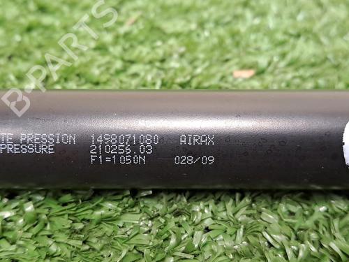 Used Tailgate lift support CITROËN JUMPY II (VF7) [2007-2016]  30068287