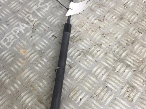 Used Tailgate lift support AUDI A3 (8P1) 2.0 TDI 16V (140 hp) 21635565