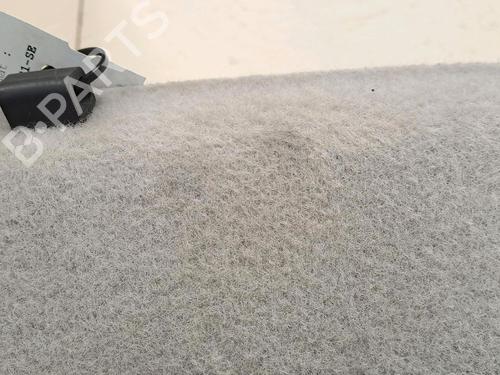 Rear parcel shelf RENAULT SCÉNIC III (JZ0/1_) 1.5 dCi | BP29948169C85