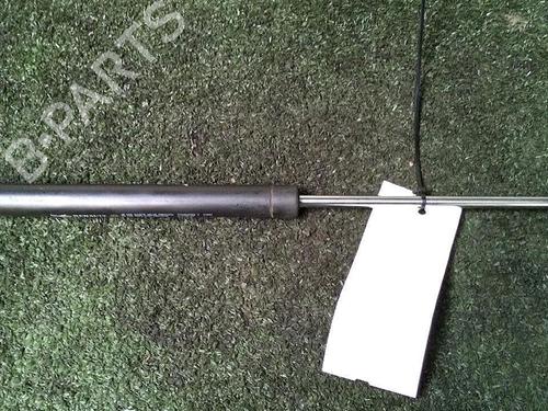 Used Tailgate lift support RENAULT CLIO II (BB_, CB_) 1.2 16V (BB05, BB0W, BB11, BB27, BB2T, BB2U, BB2V, CB05,... (75 hp) 30073306