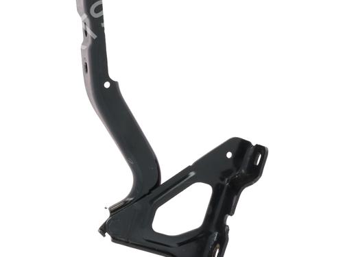 hingedoor-check-strap-renault-clio-v-b7_-2019-32862153 main image