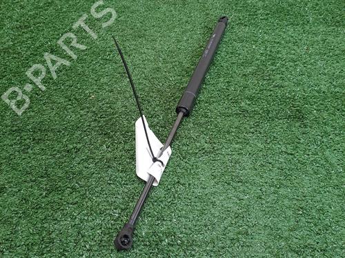 Tailgate lift support PEUGEOT 208 I (CA_, CC_) 1.2 PureTech 82 | BP29602071C138 