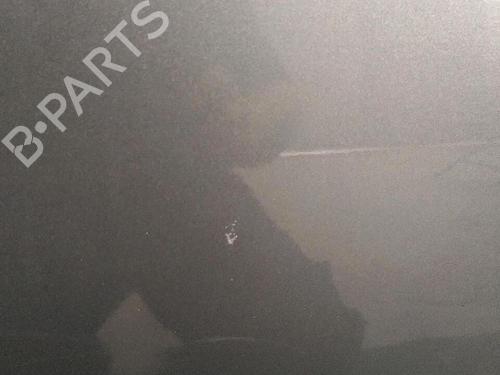 Used Right front door OPEL MERIVA A MPV (X03) 1.7 CDTI (E75) (100 hp) 30071432