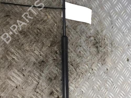 Gassdemper Bakluke SUZUKI SWIFT III (MZ, EZ) 1.3 DDiS (RS413D) | BP30075853C138 