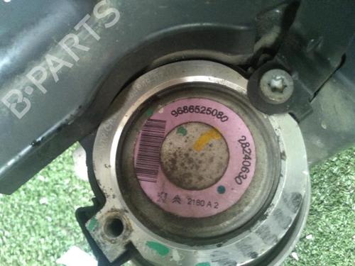 Steering pump PEUGEOT 206+ (2L_, 2M_) 1.1 | BP30072989M99