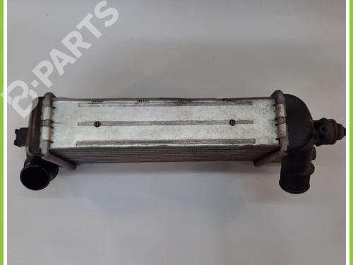Intercooler FIAT 500 (312_) 0.9 (312AXG1A, 312.AXG11) | BP11369839M30 