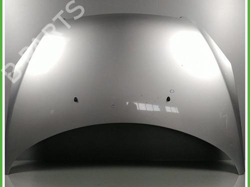 Used Hood Hood FIAT BRAVO II (198_) 1.6 D Multijet (198AXH1B) (105 hp) 40132639 40132639