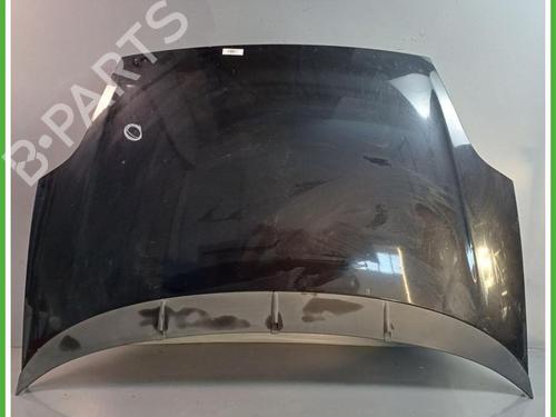 hood-fiat-punto-evo-199_-2008-40137142 main image