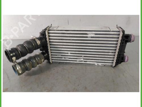 Used Intercooler Intercooler PEUGEOT 2008 II (UD_, US_, UY_, UJ_, UR_, UC_) 1.2 PureTech 130 (USHNS, URHNS) (130 hp) 40074626 40074626