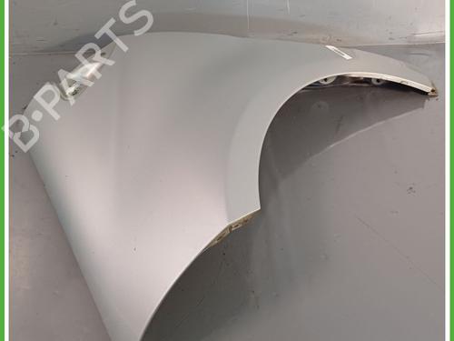 Left front fenders MERCEDES-BENZ A-CLASS (W169) A 200 CDI (169.008, 169.308) | BP20168080C41 
