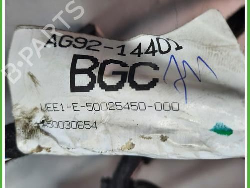 Cable LAND ROVER FREELANDER 2 (L359) 2.2 SD4 4x4 | BP12598005E12 