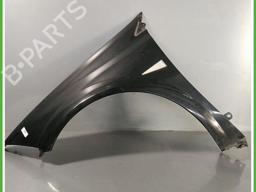 Used Left front fenders RENAULT MEGANE II Estate (KM0/1_) 1.9 dCi (KMRG, KM1G, KM0G, KM2C) (120 hp) 24129825