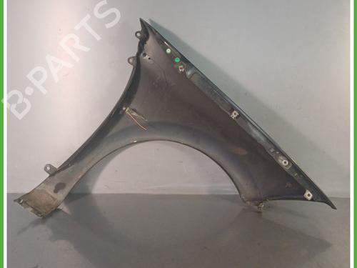 Left front fenders RENAULT MEGANE II Estate (KM0/1_) 1.6 16V | BP25937592C41 