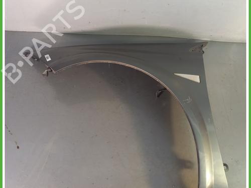 Left front fenders RENAULT MEGANE II Estate (KM0/1_) 1.5 dCi (KM02, KM13) | BP28839358C41 