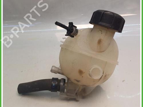 expansion-tank-citroen-c3-ii-sc_-2009-40142414 main image