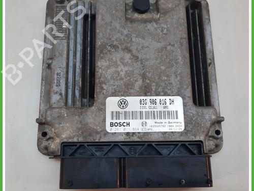 Used Engine control unit (ECU) SEAT TOLEDO III (5P2) 1.9 TDI (105 hp) 12909944