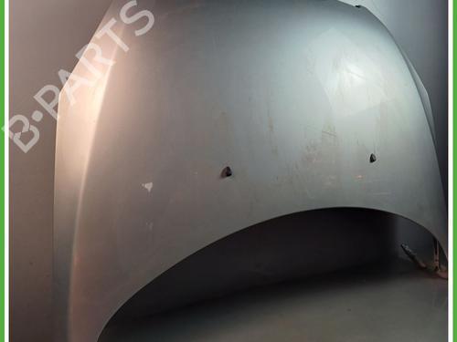 Hood PEUGEOT 307 (3A/C) 2.0 HDi 110 | BP16783361C1 