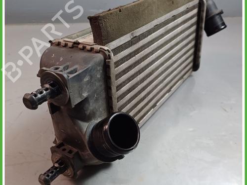 Intercooler FIAT PANDA (312_, 319_) 0.9 Natural Power (312PXN1A) | BP15678978M30 