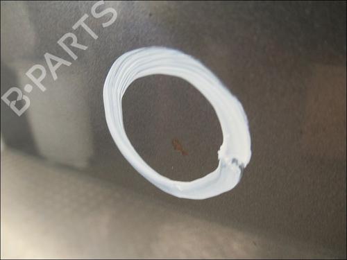 Used Hood RENAULT SCÉNIC III (JZ0/1_) 1.9 dCi (JZ0J, JZ1J, JZ1K, JZ1S) (131 hp) 19498070