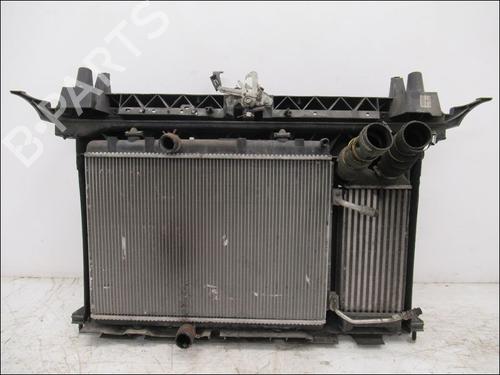 Used Water radiator PEUGEOT 3008 I MPV (0U_) 1.6 HDi (112 hp) 15419832
