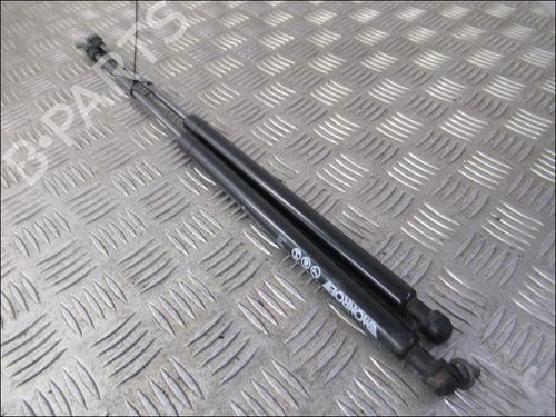 Used Tailgate lift support RENAULT LAGUNA III (BT0/1) 2.0 dCi (BT01, BT08, BT09, BT0E, BT0K, BT12, BT1C, BT1D,... (150 hp) 24460036