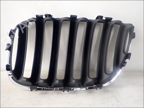 Grille BMW X5 (E53) 3.0 d | BP15420181C40 