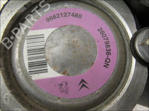 Used Steering pump PEUGEOT 206+ (2L_, 2M_) 1.4 i (2LKFWA, 2MKFWA) (75 hp) 15419614