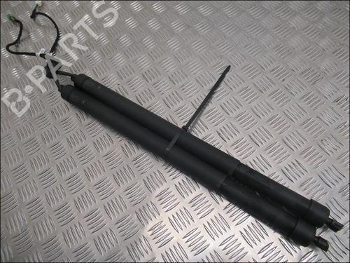 Used Tailgate lift support PEUGEOT 3008 II SUV (MC_, MR_, MJ_, M4_) 1.2 THP/ PureTech 130 (MRHNSM, MRHNSU, MRHNSJ, MRHNYW,... (131 hp) 17135262