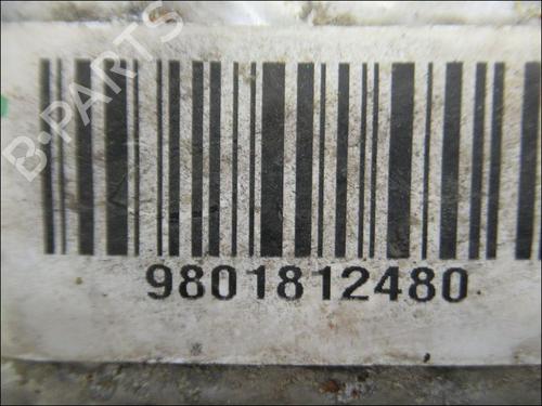 Used Catalyst PEUGEOT 308 I (4A_, 4C_) 2.0 HDi (150 hp) 24419157