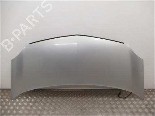 Used Hood RENAULT KANGOO / GRAND KANGOO II (KW0/1_) 1.6 (KW00, KW0Y, KW0E, KW0N, KW0P) (87 hp) 24419160