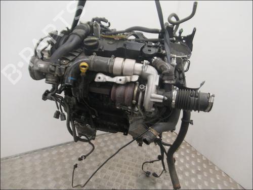 Used Engine FORD FIESTA VI (CB1, CCN) 1.6 TDCi (95 hp) 28033320