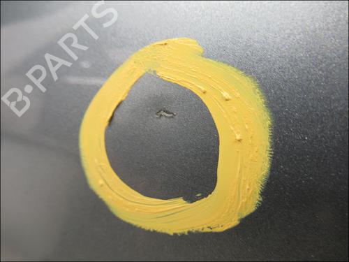 Left front door BMW 3 (E90) 318 d | BP15274340C2 