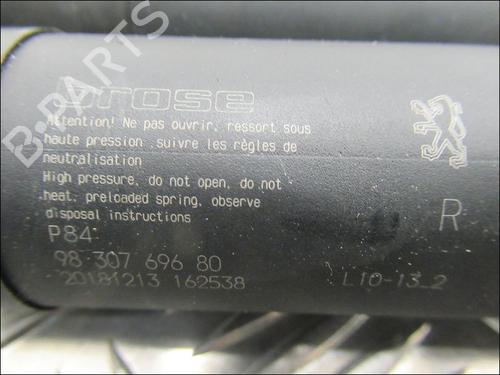Tailgate lift support PEUGEOT 3008 II SUV (MC_, MR_, MJ_, M4_) 1.2 THP/ PureTech 130 (MRHNSM, MRHNSU, MRHNSJ, MRHNYW,... | BP17135262C138 