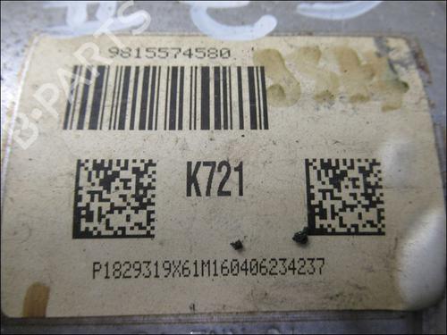 partikelfilter CITROËN C3 II (SC_) 1.6 BlueHDi 75 (75 hp) 21836505