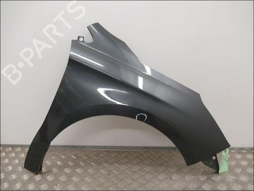 Right front fenders CITROËN C4 II (NC_) 1.6 HDi 110 | BP21211225C42 