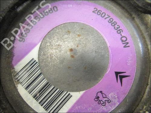 Steering pump PEUGEOT 206 Hatchback (2A/C) 1.4 i | BP20845884M99 