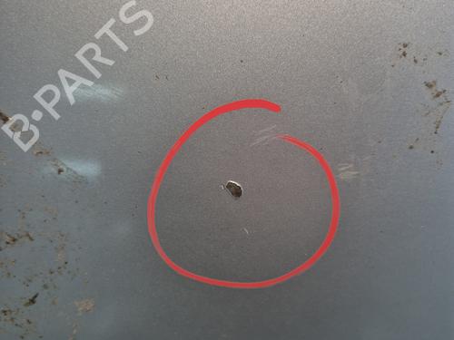 Hood RENAULT SCÉNIC III (JZ0/1_) 1.6 dCi (JZ00, JZ12) | BP29901505C1