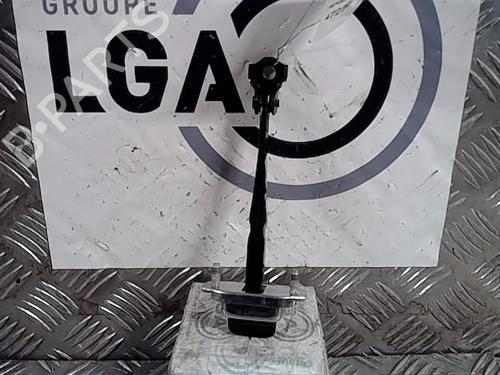 Hinge/Door check strap RENAULT CAPTUR II (HF_)  824307801R