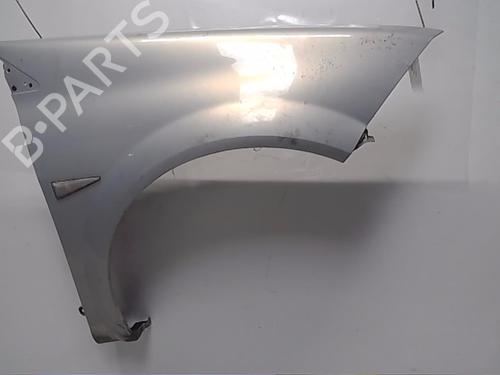 Used Right front fenders RENAULT MEGANE II (BM0/1_, CM0/1_) [2001-2012]  13846165