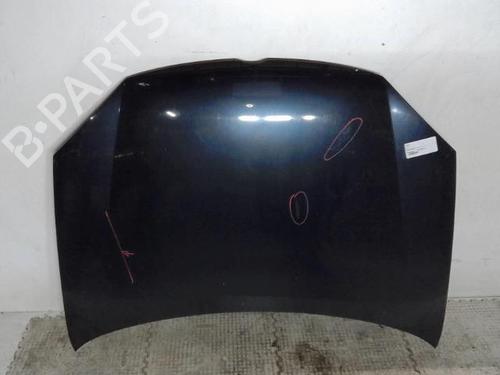 Used Hood VW GOLF V (1K1) 1.9 TDI (105 hp) 15098453