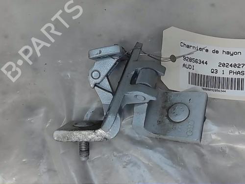 Used Hinge/Door check strap AUDI Q3 (8UB, 8UG) 2.0 TDI quattro (177 hp) 19918249