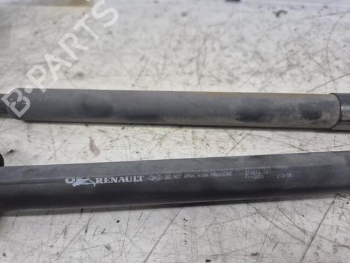 tailgate-lift-support-renault-clio-iii-br01-cr01-2005-2006-2007-2008-2009-2010-2011-2012-2013-2014-34455945 main image