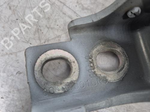 Hinge/Door check strap RENAULT CLIO IV (BH_) 1.2 16V | BP32332174C146