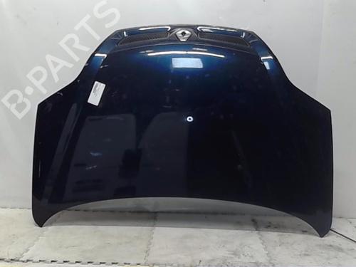 Cofano anteriore RENAULT SCÉNIC I MPV (JA0/1_, FA0_) 1.9 dCi (JA05, JA1F) (102 hp) 13845787