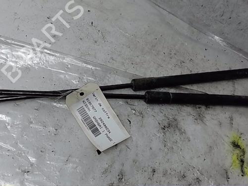 Tailgate lift support NISSAN QASHQAI / QASHQAI +2 I (J10, NJ10, JJ10E) 2.0 dCi | BP16818497C138 