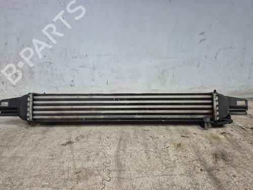 Intercooler FIAT QUBO (225_)  | BP29215161M30 