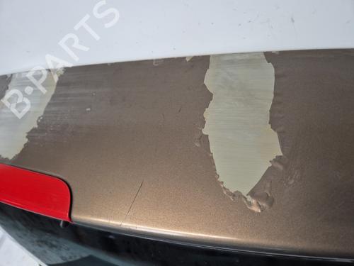 Tailgate RENAULT SCÉNIC III (JZ0/1_) 1.9 dCi (JZ0J, JZ1J, JZ1K, JZ1S) | BP32291285C6